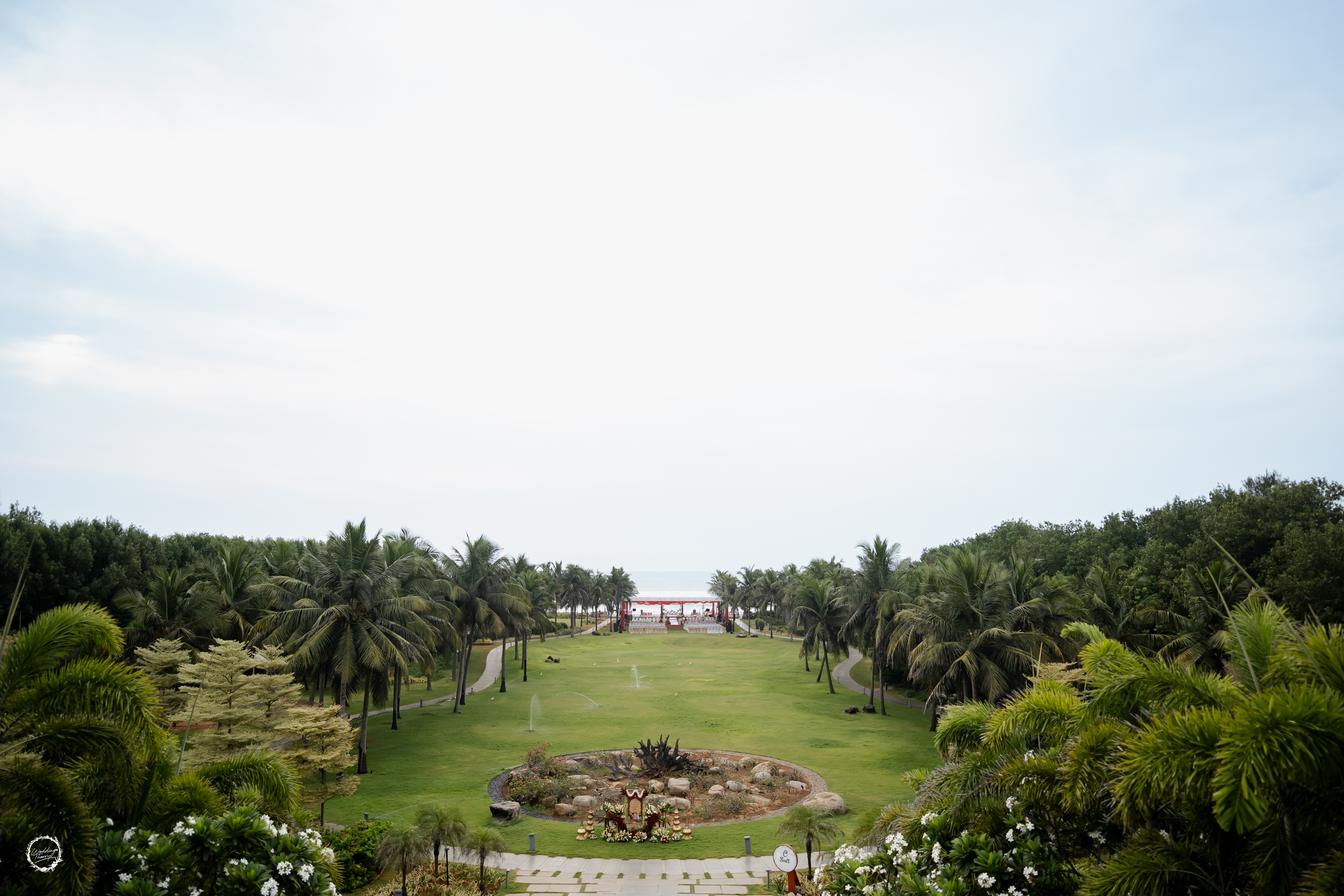 How to Check a Wedding Photographer’s Reviews and Testimonials